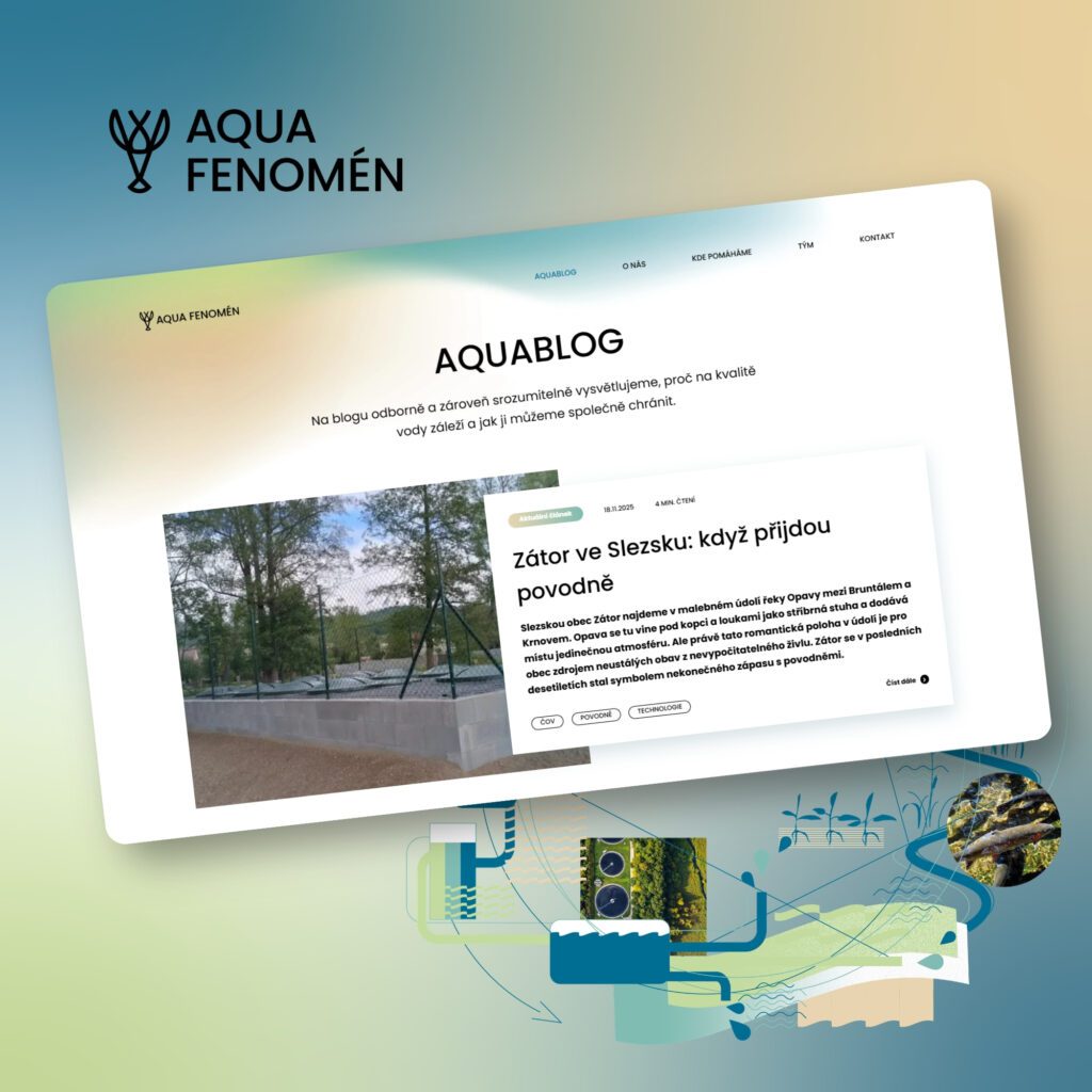 AQUA FENOMÉN